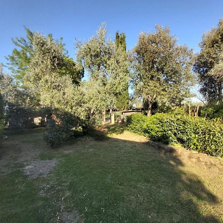 Tenuta Santa Maria Villa Campagnatico Kültér fotó