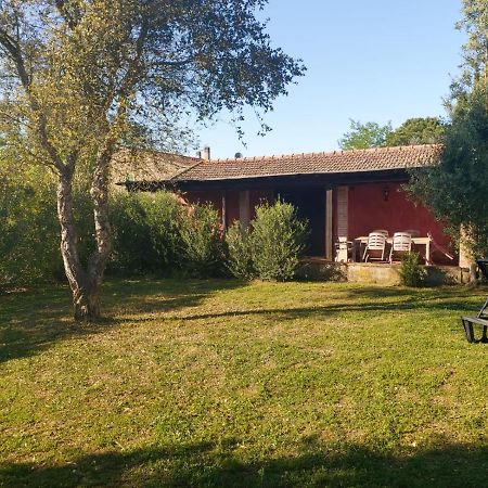 Tenuta Santa Maria Villa Campagnatico Kültér fotó