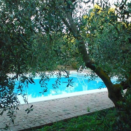 Tenuta Santa Maria Villa Campagnatico Kültér fotó