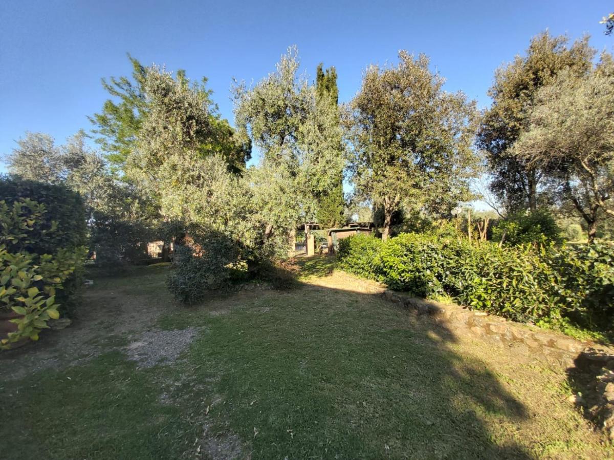 Tenuta Santa Maria Villa Campagnatico Kültér fotó