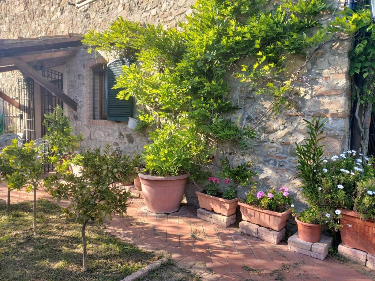 Tenuta Santa Maria Villa Campagnatico Kültér fotó