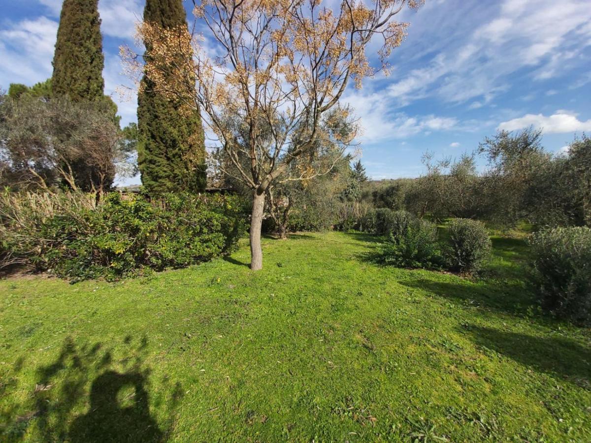 Tenuta Santa Maria Villa Campagnatico Kültér fotó