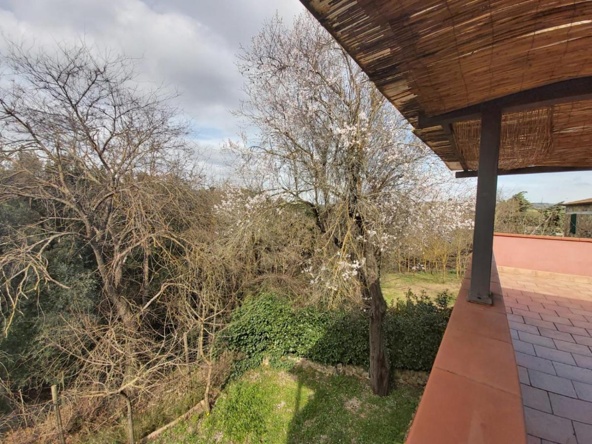 Tenuta Santa Maria Villa Campagnatico Kültér fotó