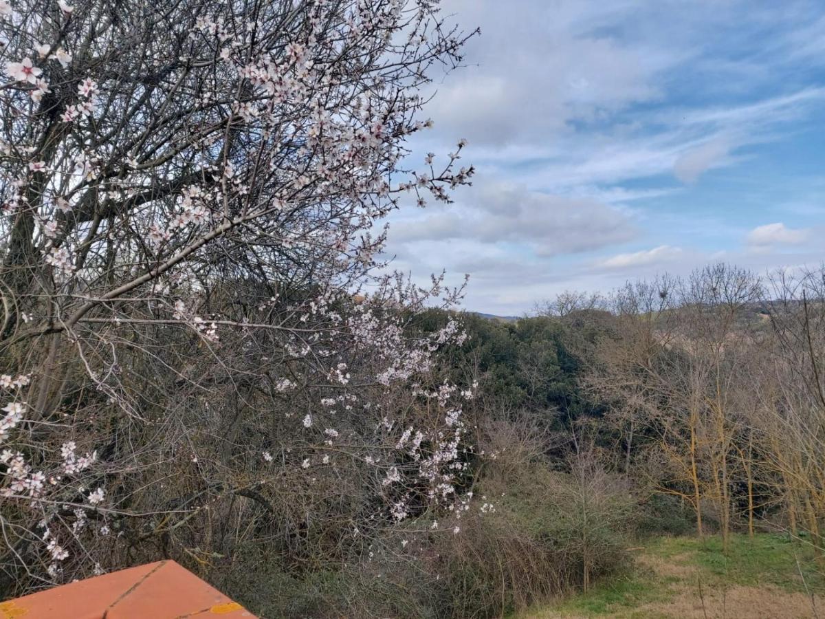 Tenuta Santa Maria Villa Campagnatico Kültér fotó