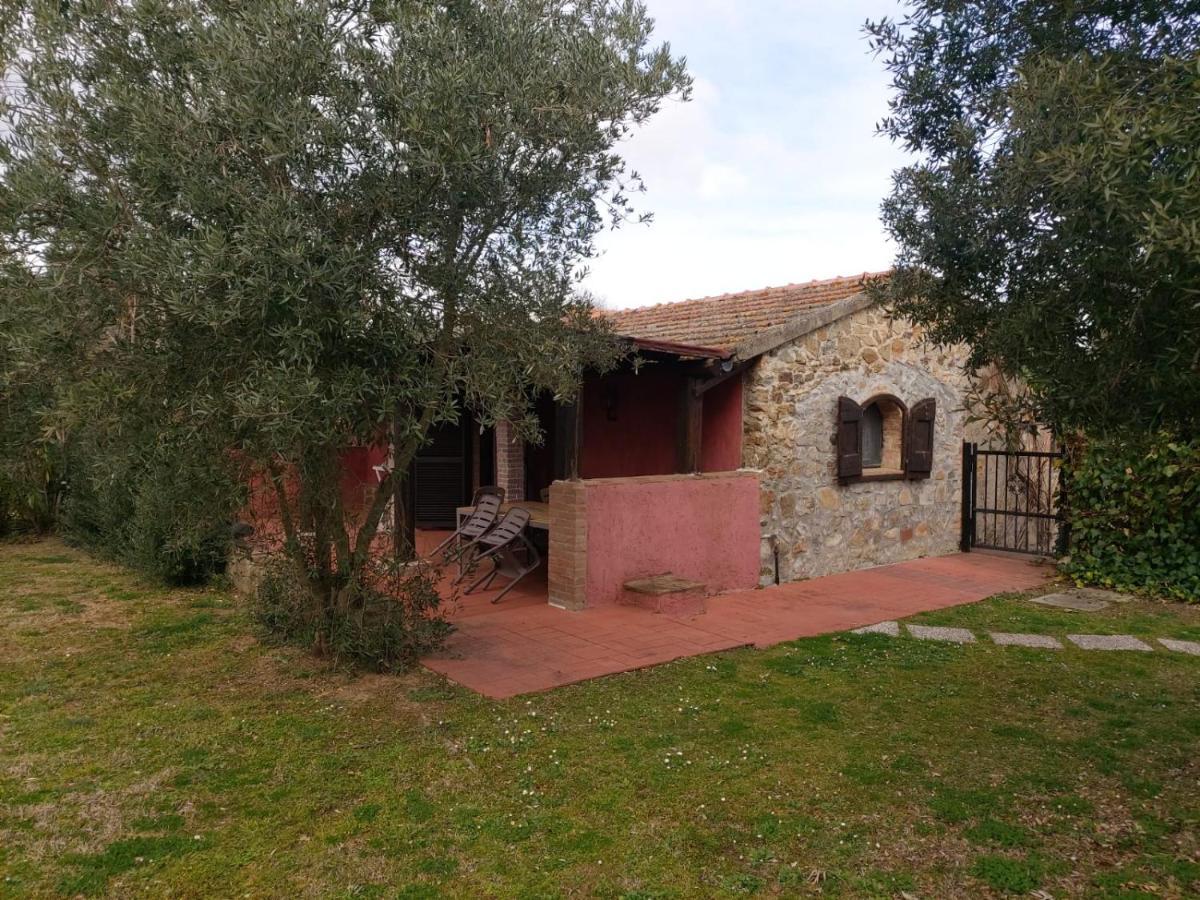 Tenuta Santa Maria Villa Campagnatico Kültér fotó