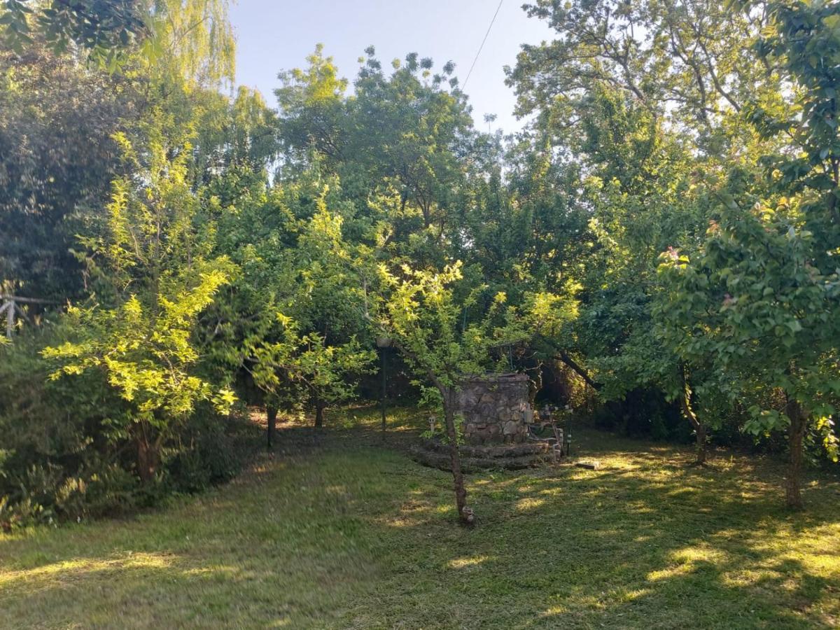 Tenuta Santa Maria Villa Campagnatico Kültér fotó