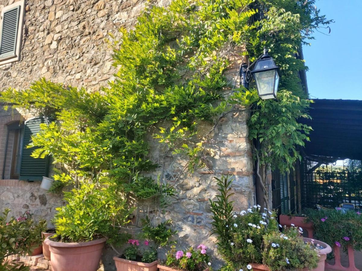 Tenuta Santa Maria Villa Campagnatico Kültér fotó