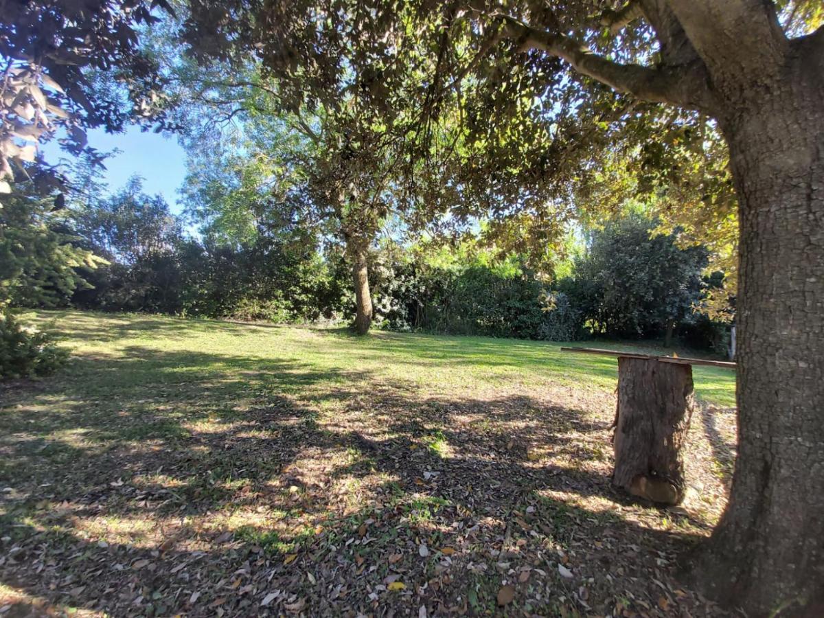 Tenuta Santa Maria Villa Campagnatico Kültér fotó