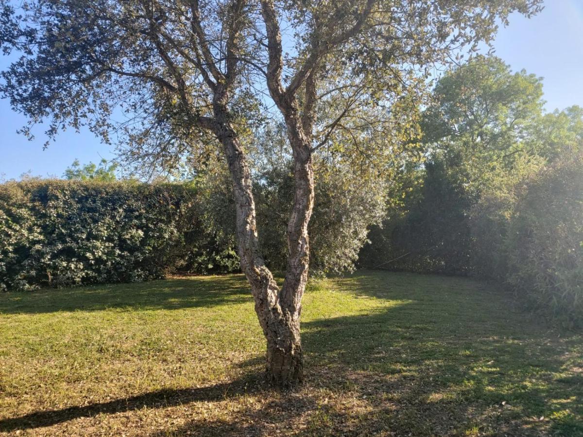 Tenuta Santa Maria Villa Campagnatico Kültér fotó