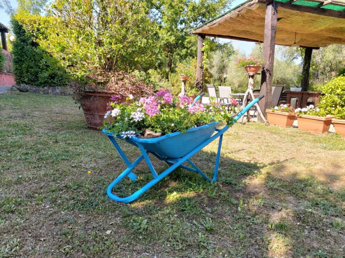 Tenuta Santa Maria Villa Campagnatico Kültér fotó