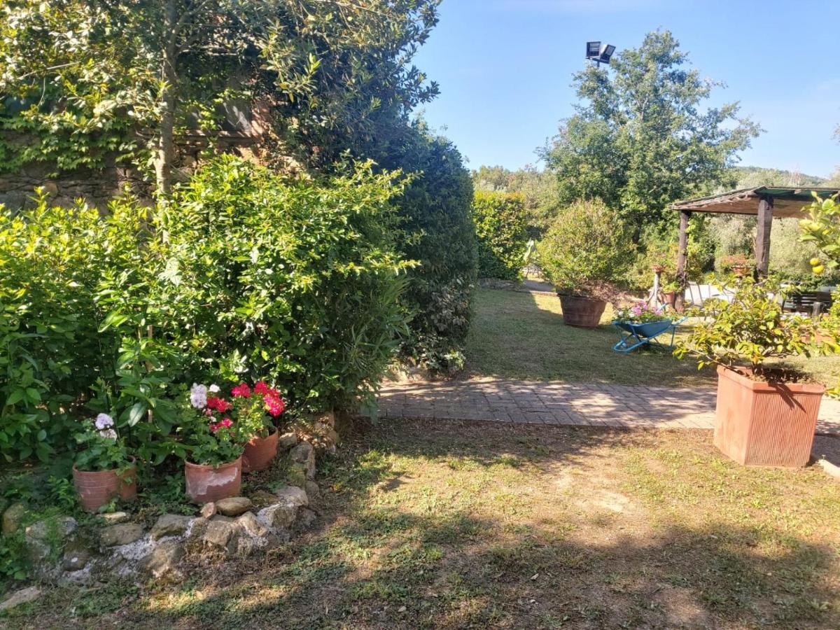 Tenuta Santa Maria Villa Campagnatico Kültér fotó