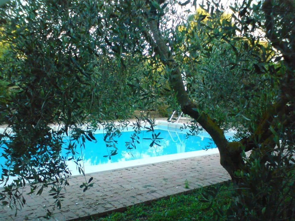 Tenuta Santa Maria Villa Campagnatico Kültér fotó
